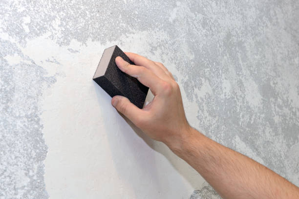 Best Black Mold Removal  in Lamoni, IA