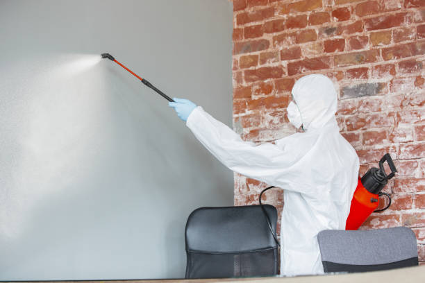 Best HVAC Mold Inspection and Cleaning  in Lamoni, IA