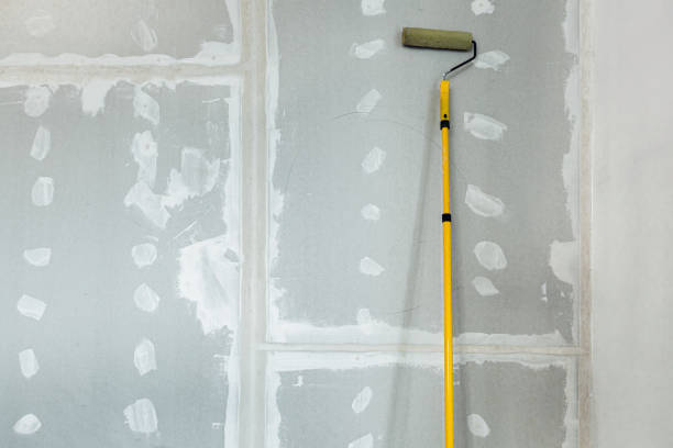 Best Dehumidification Services  in Lamoni, IA