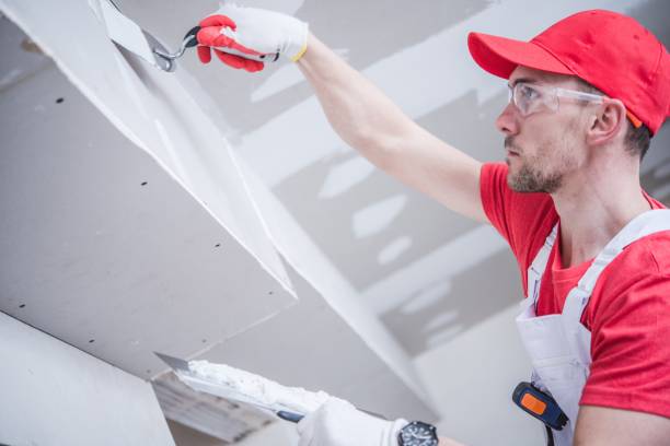 Best Mold Remediation for Healthcare Facilities  in Lamoni, IA