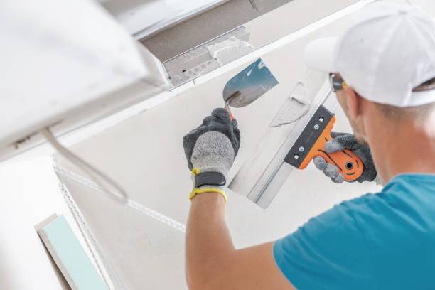 Best Air Quality Testing for Mold Spores  in Lamoni, IA